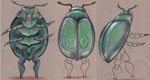 scarabé4