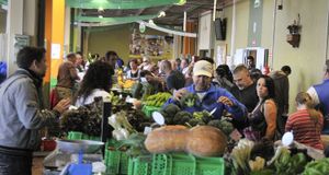 mercado1