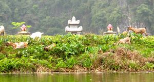 vietnam-0668-copie-2.jpg