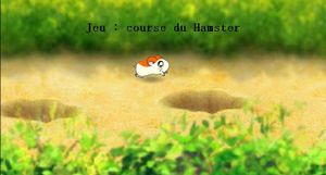 hamster.jpg