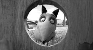 Frankenweenie3