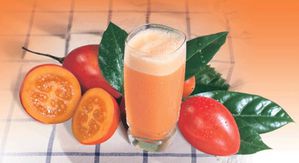 tomate-arbre--3-.jpg