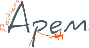 logo Apem gris sur blanc