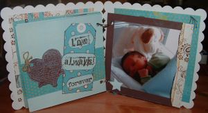 006-copie-1