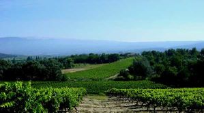 Grand Vallat Mont Ventoux