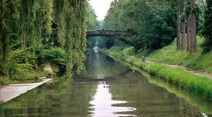 Canal-de-l-Ourq--dans-la-foret-de-Sevran-.jpg
