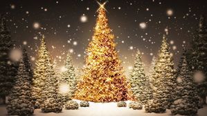 Noel-06