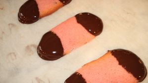 langues-de-chat.JPG