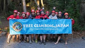 tree-climbing-japan.jpg