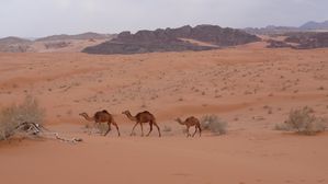 Paysage de sable