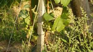 famille et retraite 08 2011 012