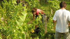 famille et retraite 08 2011 048