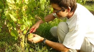 famille et retraite 08 2011 057