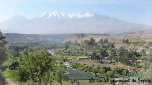 arequipa1