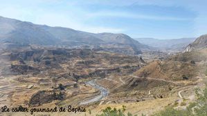 colca