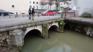 Montargis 2 janvier 040 PhotoRedukto