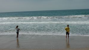 S1670011.JPG