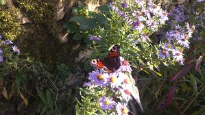 09102010587.JPG