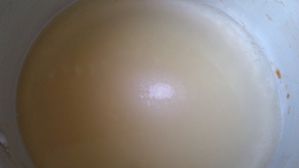 Cheesecake-d-abricot-en-verrine-sans-cuisson 0481