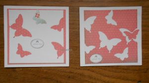 papillons-recto-verso.jpg
