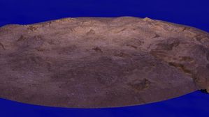 prev terrain vague2