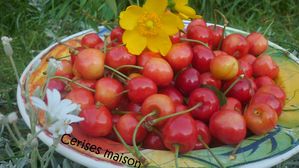 cerises maison