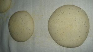 DSC05500
