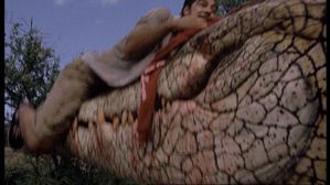 Crocodile image