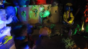 IMG 8798