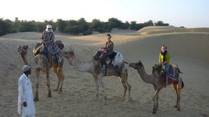 111 : Camel safari, desert du Thar