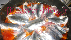 sardine5