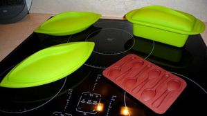 MOULE1
