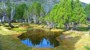 P1150899--640x360-.jpg