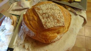 Pain-presse---40-.JPG