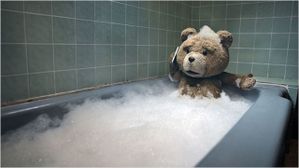Ted photo5
