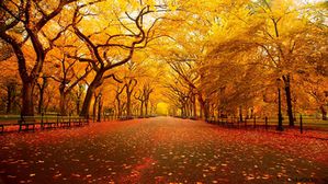 Central-Park-New-York-Automne-blog-voyage-trace-ta-route.jpg