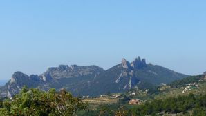 dentelles_de_montmirail2.jpg