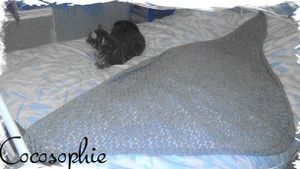 genvercocosophie1[1]