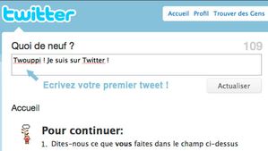 profil-type-compte-twitter-en-france.jpg
