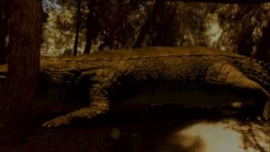 Supercroc image 3