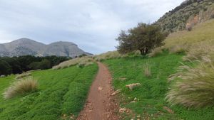 A Sunday Run to Mondello Beach, and NEW New Years Resolutions