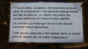 Ballu1