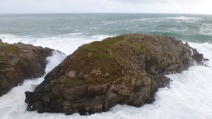 P1040541-copie-1.JPG
