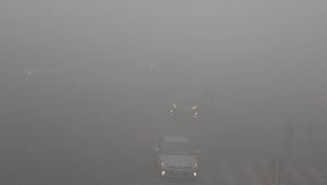 laval brouillard