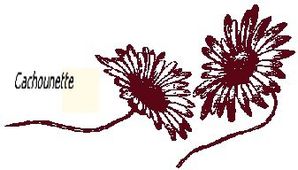 2511marguerites.jpg
