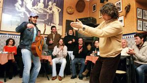 flamenco_0006.jpg