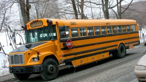 bus