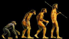 SapiensEvolution frame