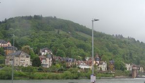 Copie-de-DSC01645.JPG