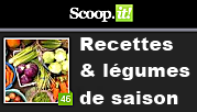 scoop-it-4